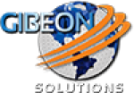 Gibeon Net Solutions  -  Programmierung