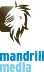 Mandrill Media GmbH -  Programmierung