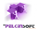 PelkinSoft-Entwicklung 