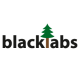 Blacklabs UG-Entwicklung 